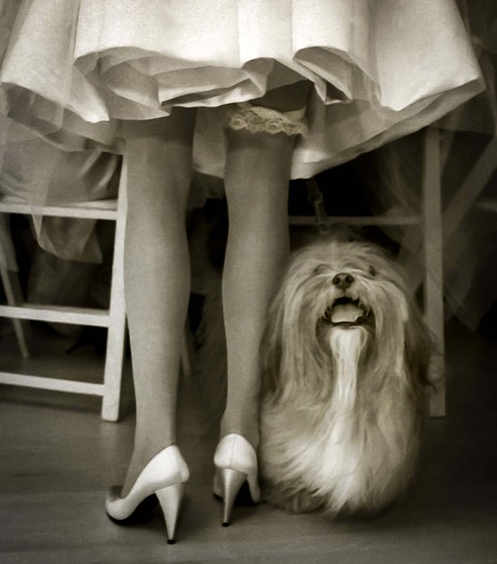 atlanta-wedding-photographer-dog-garter-black-and-white-1-1