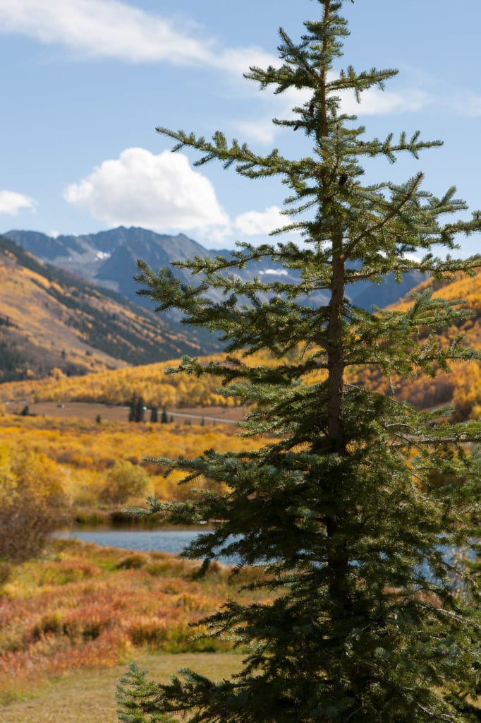 aspen-wedding-photographer-destination-atlanta-denis-reggie-little-nell-0274