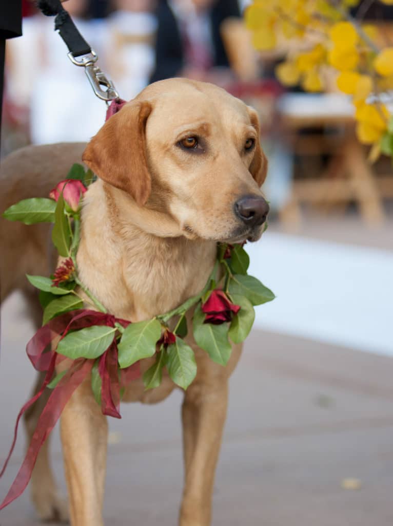 aspen-wedding-photographer-destination-atlanta-denis-reggie-little-nell-0614