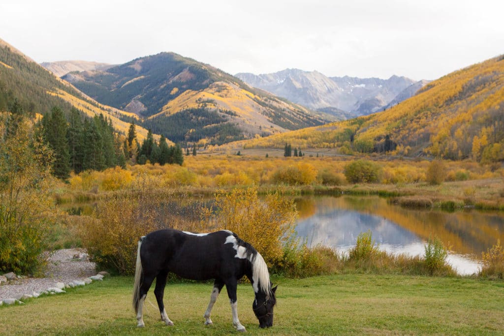 aspen-wedding-photographer-destination-atlanta-denis-reggie-little-nell-0678