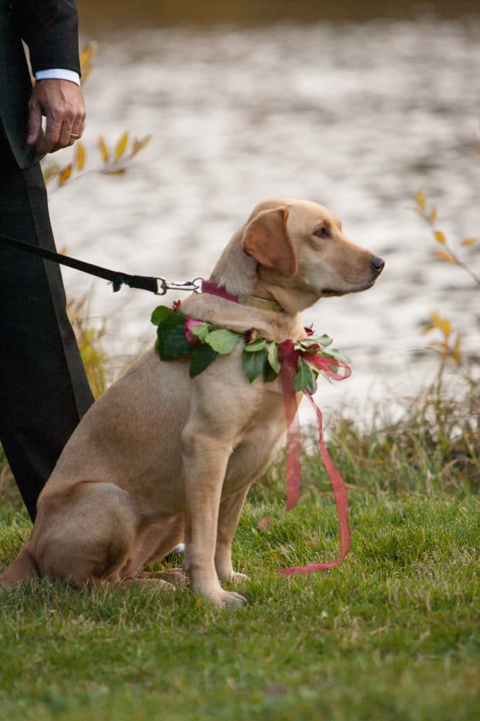 aspen-wedding-photographer-destination-atlanta-denis-reggie-little-nell-0704
