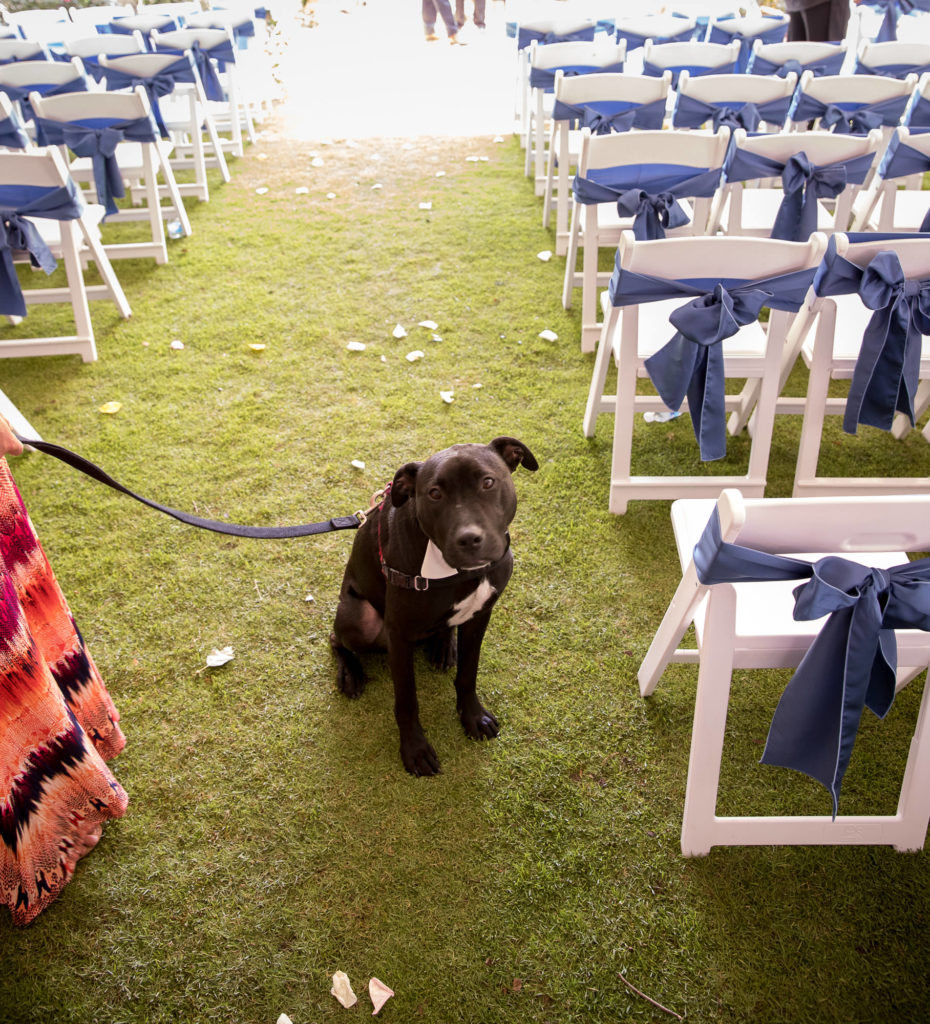 atlanta-wedding-photographer-denis-reggie-home-tented-wedding-backyard-wedding-at-home-0850