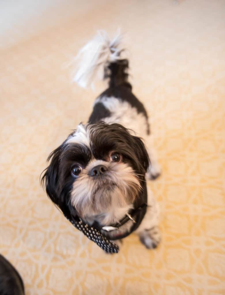 atlanta-wedding-photographer-peachtree-christian-church-st-regis-atlanta-military-wedding-0442