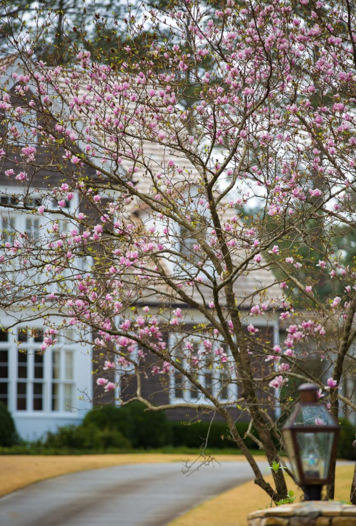 atlanta wedding photographer piedmont driving club christ the king buckhead 0965