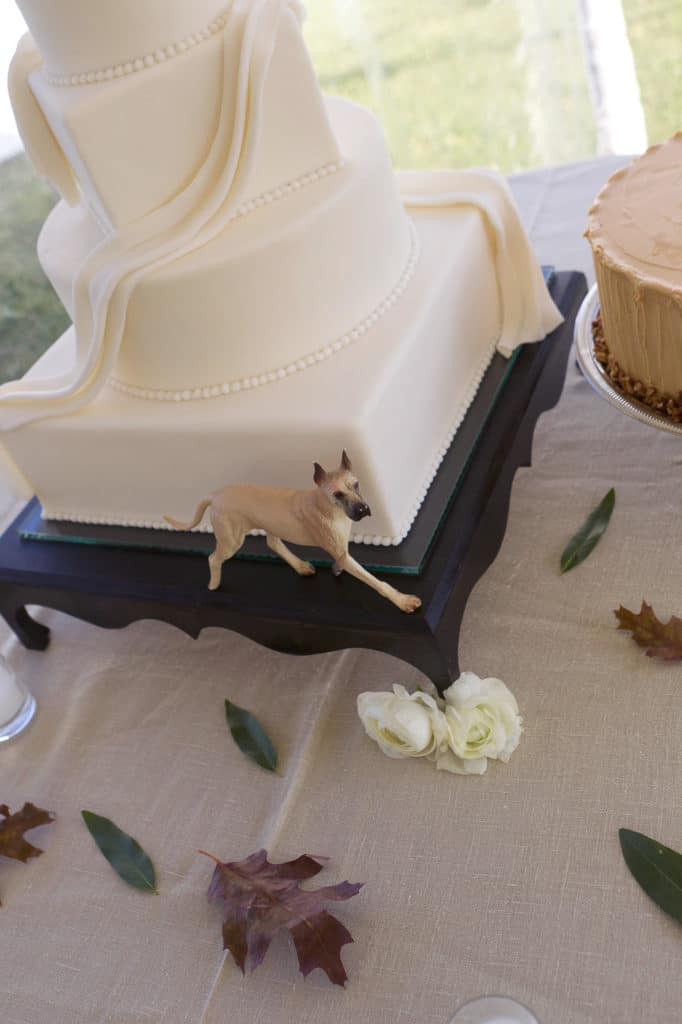 jackson-hole-wedding-destination-snake-river-idaho-atlanta-wedding-photographer-denis-reggie-27