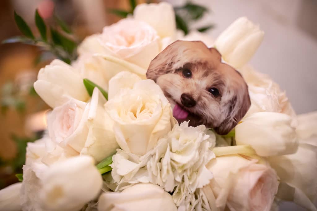 new-orleans-wedding-photographer-french-quarter-second-line-destination-atlanta-wedding-photographer-denis-reggie-0857