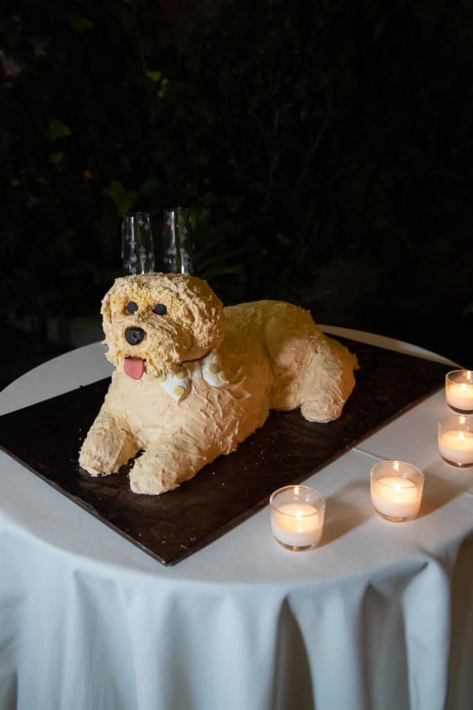 new-orleans-wedding-photographer-french-quarter-second-line-destination-atlanta-wedding-photographer-denis-reggie-1443