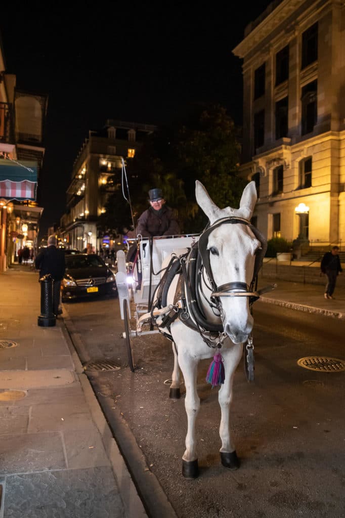 new-orleans-wedding-photographer-french-quarter-second-line-destination-atlanta-wedding-photographer-denis-reggie-1858