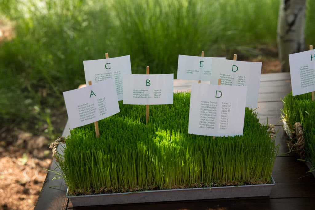 sun-valley-wedding-photographer-destination-atlanta-wedding-photographer-denis-reggie-1382