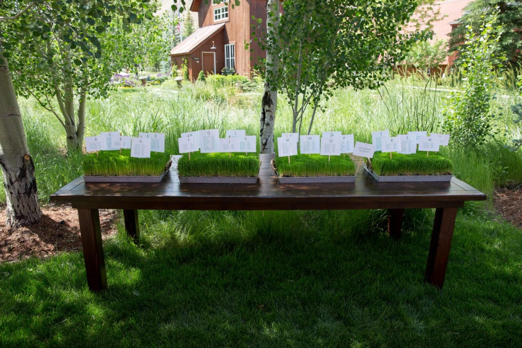 sun-valley-wedding-photographer-destination-atlanta-wedding-photographer-denis-reggie-1384