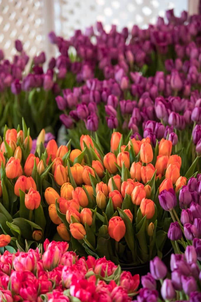 the-greenbrier-wedding-gay-destination-west-virginia-denis-reggie-photographer-0233-1