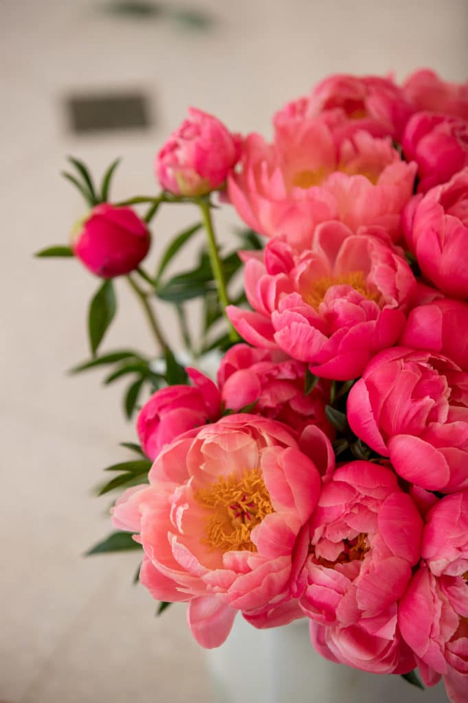 the-greenbrier-wedding-gay-destination-west-virginia-denis-reggie-photographer-0241-1