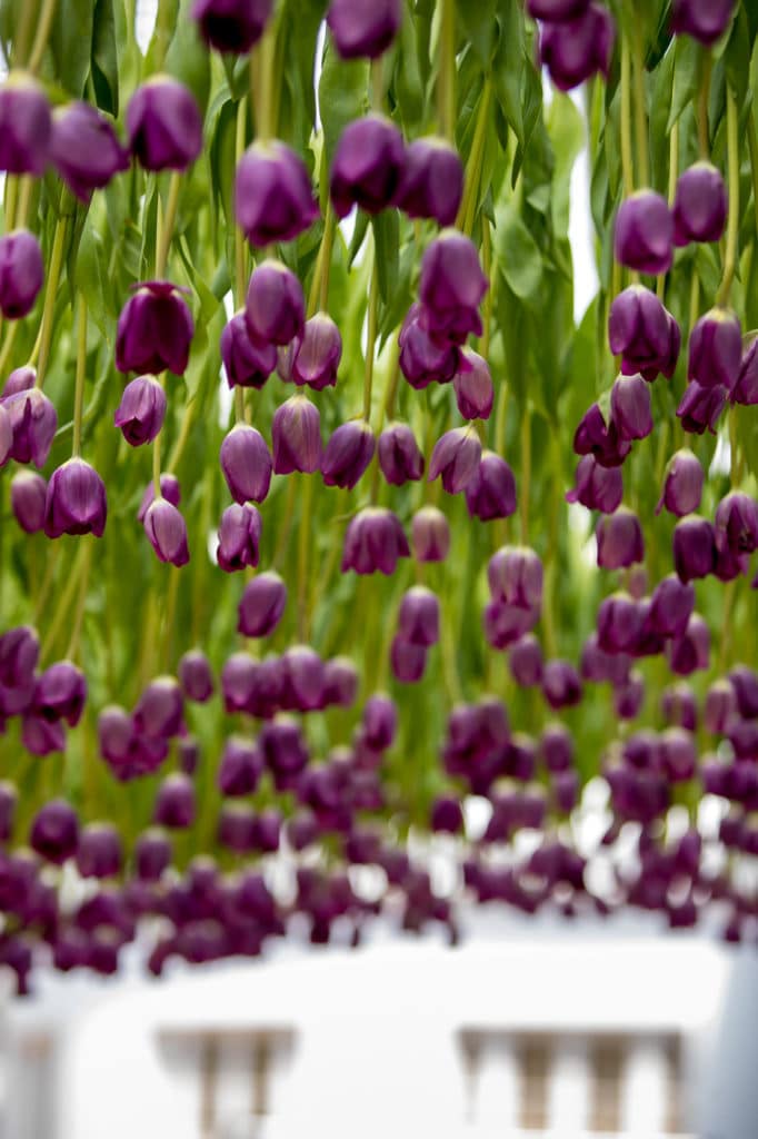 the-greenbrier-wedding-gay-destination-west-virginia-denis-reggie-photographer-0276-1