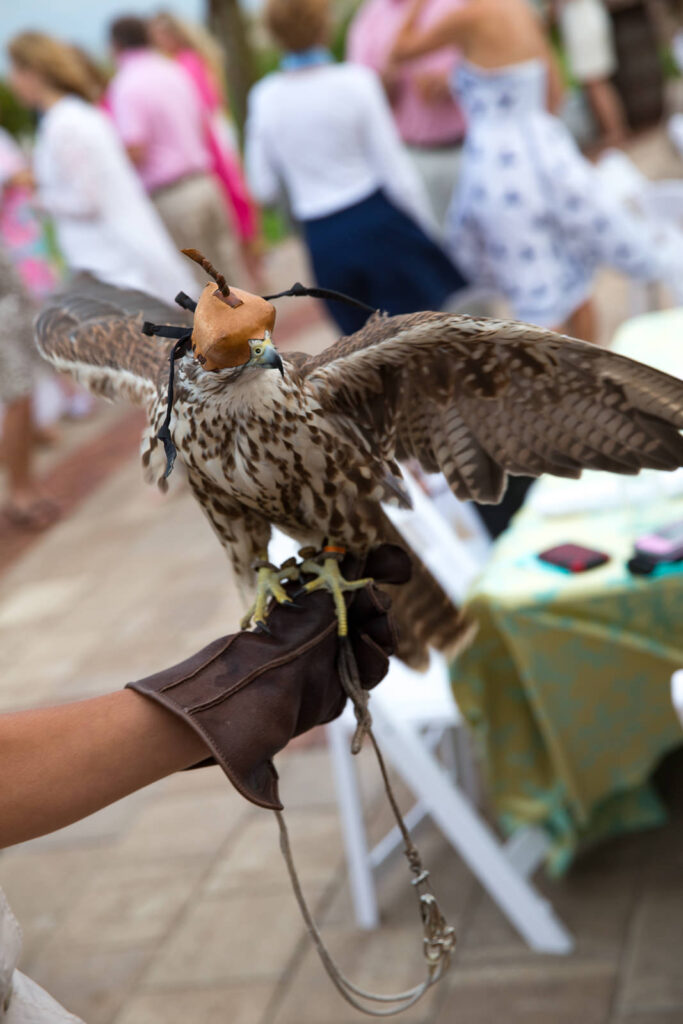 Sea Island Georgia Destination Wedding by Denis Reggie Photographers 0826